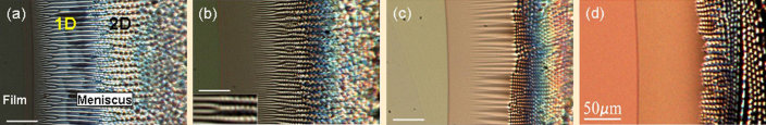 Figure 1: Optical photographs showing the evolution of the meniscus structure with temperature. (a) SmC* phase, (b) still in the SmC* phase, (c) just above the bulk SmC*-smA phase transition. (d) deep in the SmA phase.
