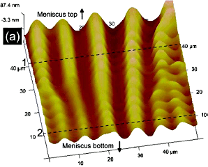 Figure 2: (a) Atomic force microscopy image of the meniscus of a SmC* film in the stripes region.